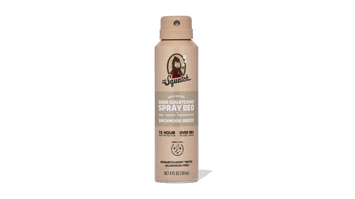 Birchwood Breeze Spray Deodorant - Clean Guard