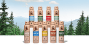 Spray Deodorant 4-Pack - All Day Fresh