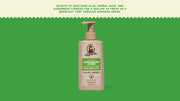 Cool Fresh Aloe Lotion - Bright Home Routine