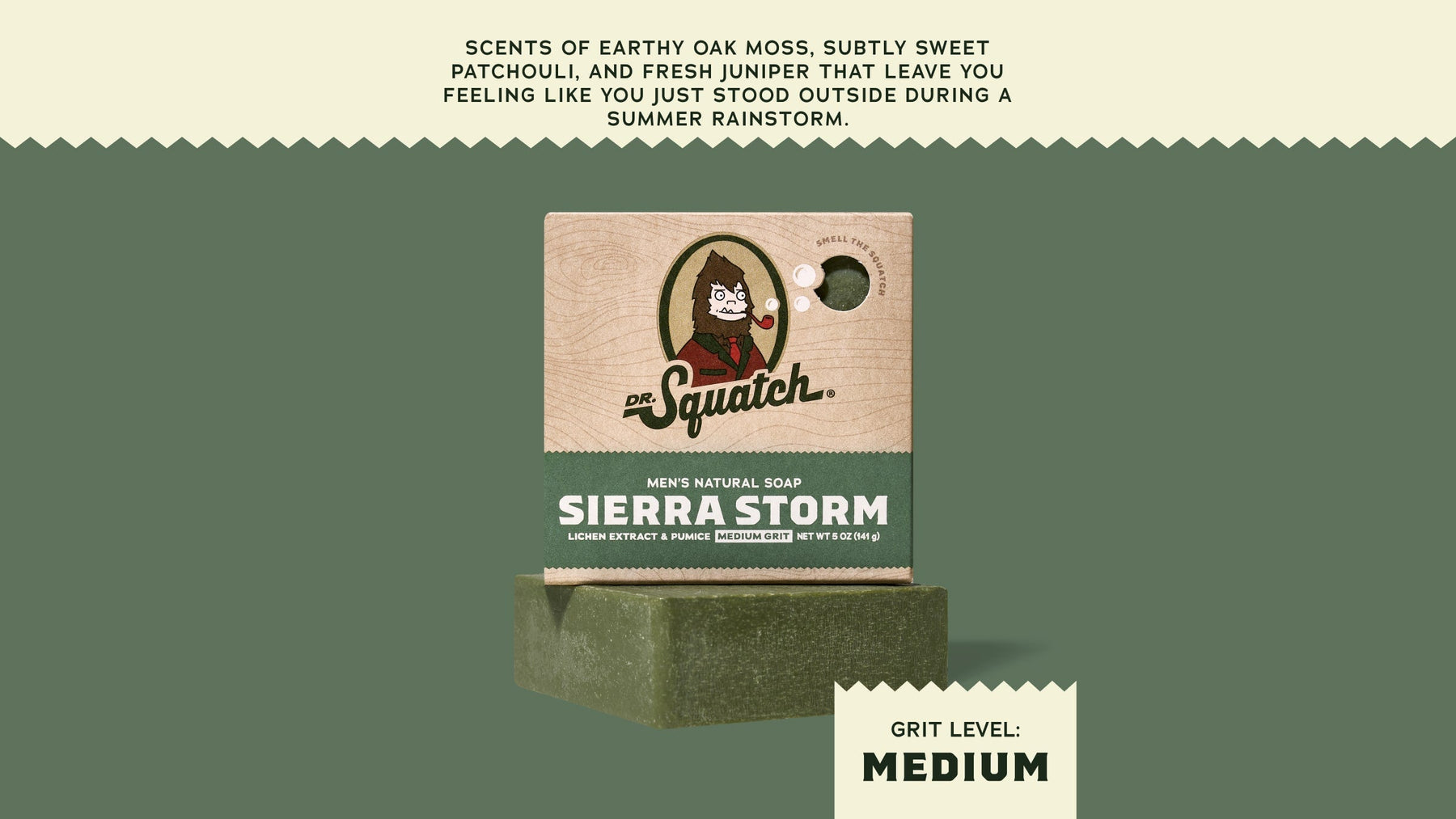Sierra Storm - Forest Trail Bar