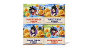 Dragon Ball Z 4-Pack - Simple Outdoor Lineup