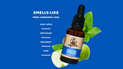 Beard Oil 3-Pack - Fresh Daily Pick