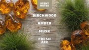 Birchwood Breeze Deodorant - Gift Lineup