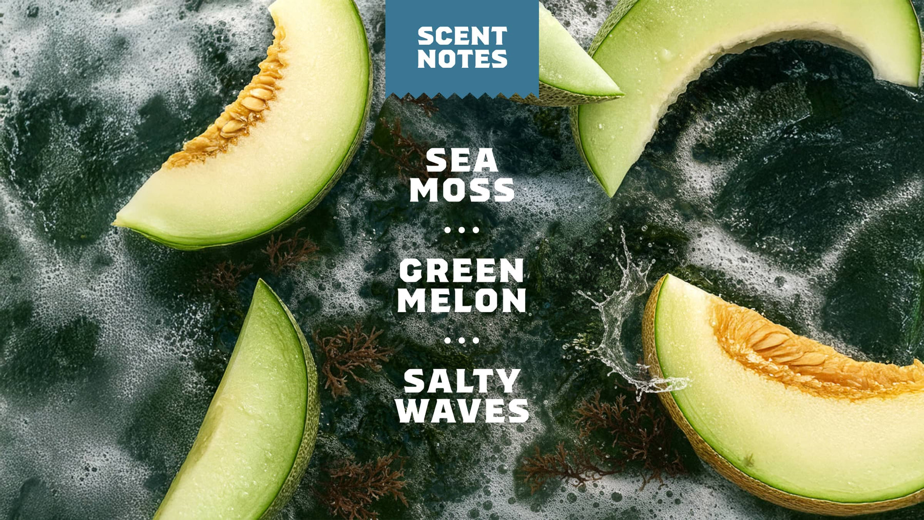 14 oz Coastal Mist Body Wash - Premium Outdoor Clean