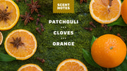 Gold Moss - Bright Shower Wash