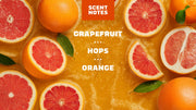 Grapefruit IPA - Classic Shower Wash