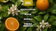 Mountain Meadow Spray Deodorant - Essential Guard