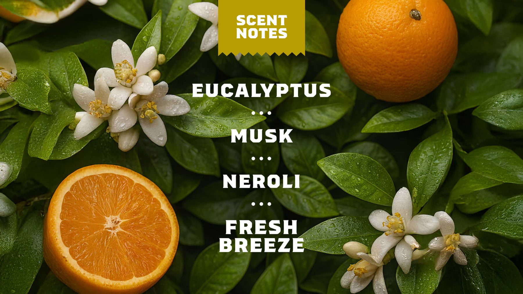Mountain Meadow Spray Deodorant - Essential Guard