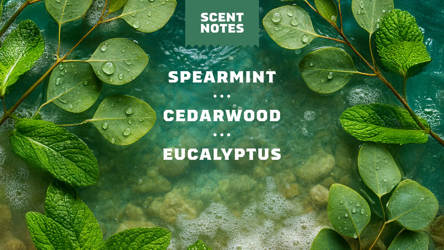 Rainforest Rapids Refreshing Face Wash - Essential Finish