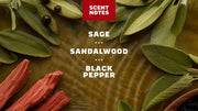 Sandalwood Summit Deodorant - Modern Active Carry