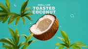 14 oz Coconut Castaway Body Wash - Daily Ready