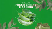 Cool Fresh Aloe Lotion - Bright Home Routine