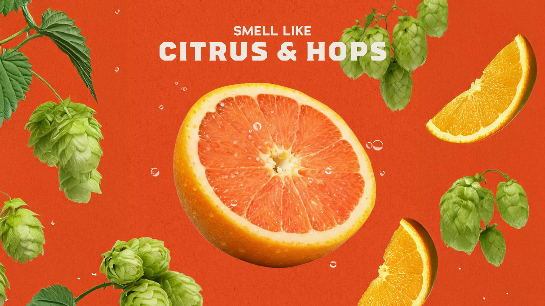 Grapefruit IPA - Classic Shower Wash