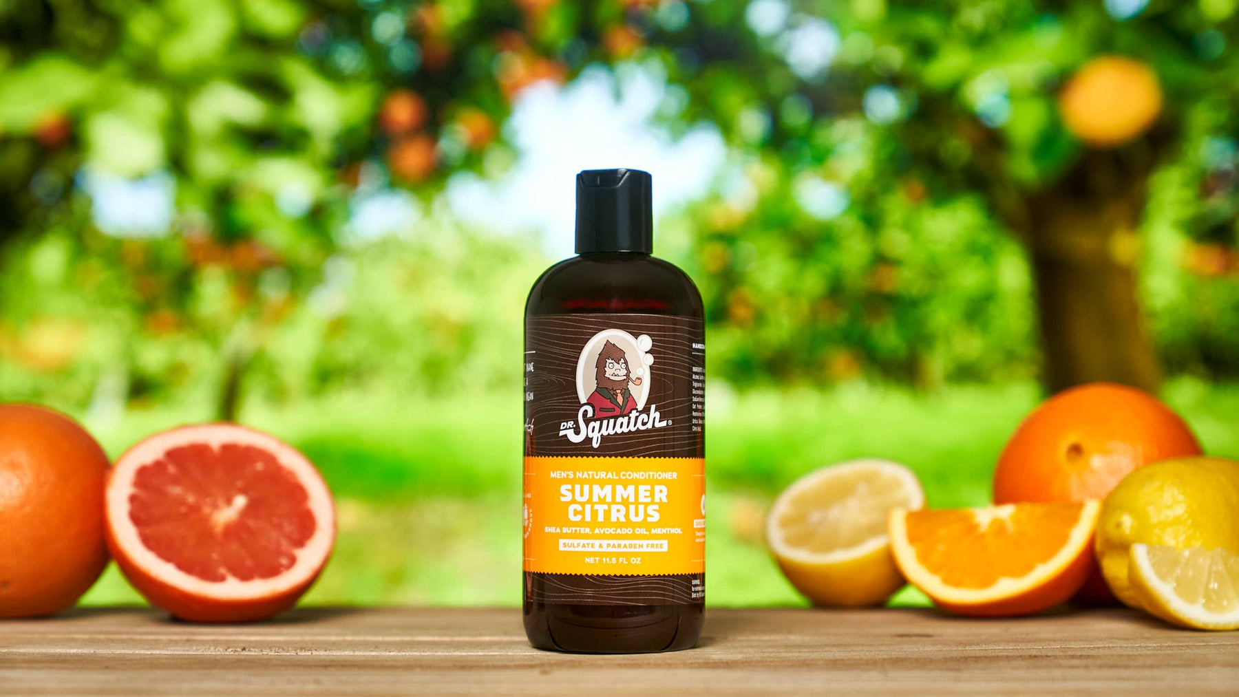 Conditioner 3-Pack - Modern Lineup