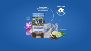 Sonic Speed Super Pack - Daily Clean