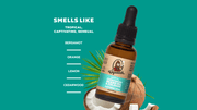 Beard Oil 3-Pack - Fresh Daily Pick